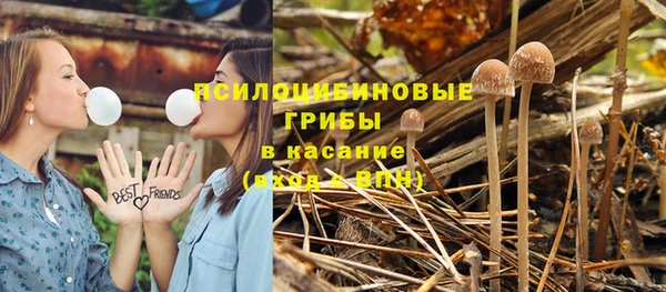 спайс Аркадак