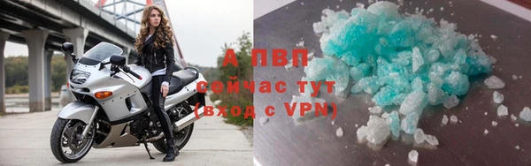 стафф Арсеньев