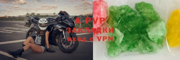 стафф Арсеньев