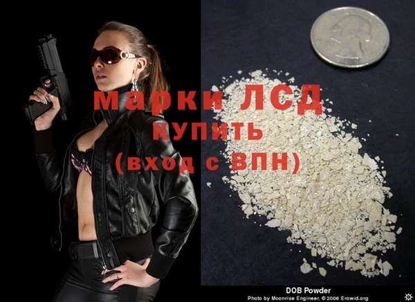 стафф Арсеньев
