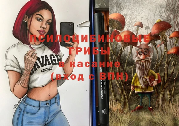 стафф Арсеньев