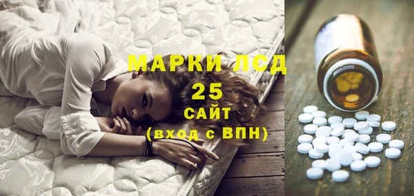 стафф Арсеньев