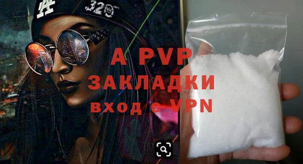 стафф Арсеньев